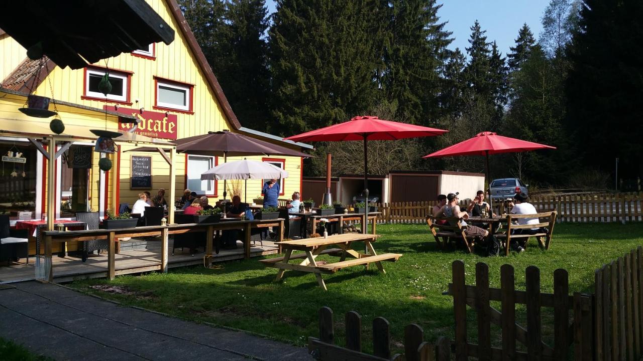 B&B Waldcafe Altenau  Extérieur photo